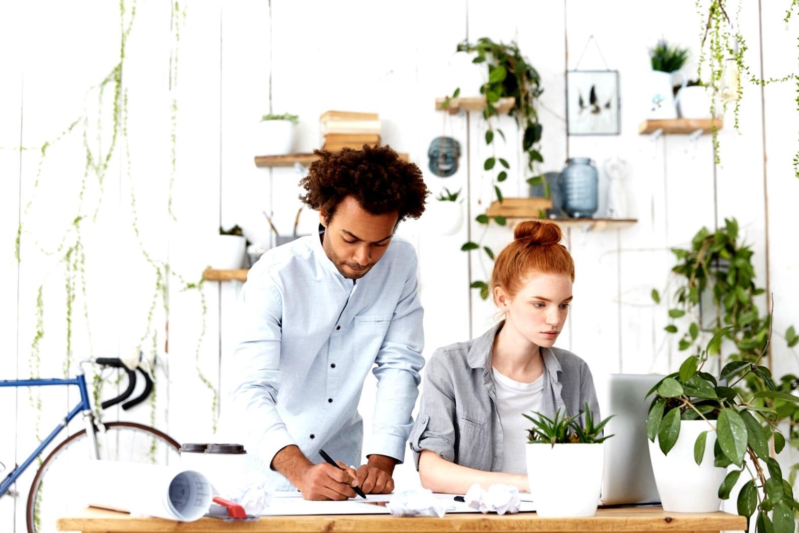 Apprentissage des stratégies de gestion de revenus